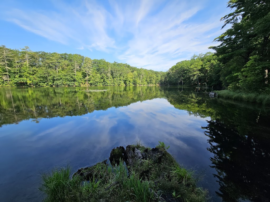 Chenango Valley State Park