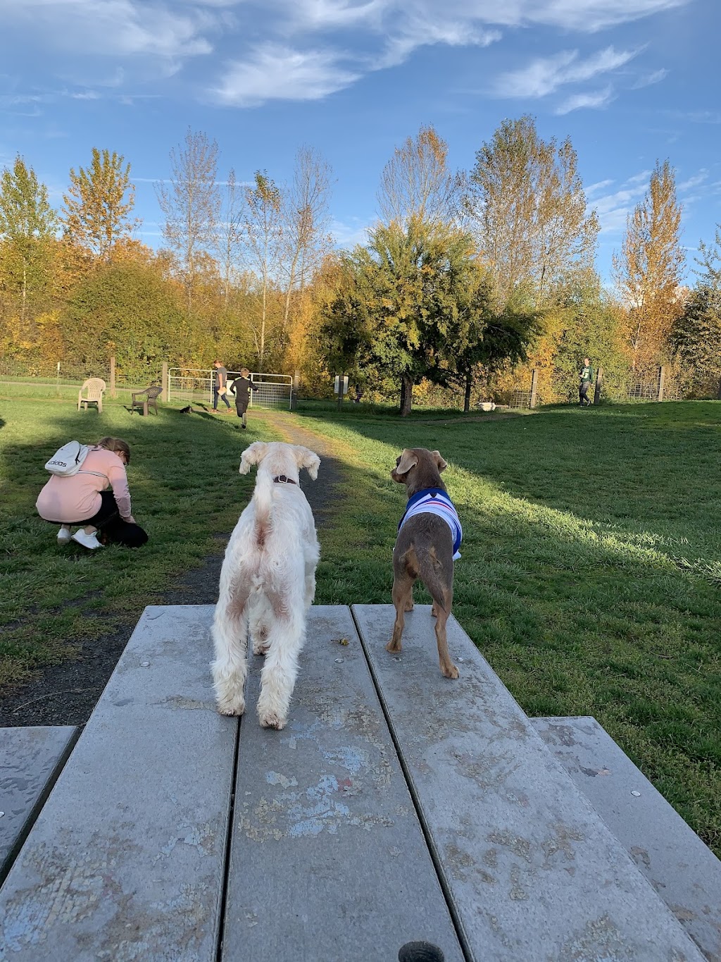 Amazon Park (Off-Leash)