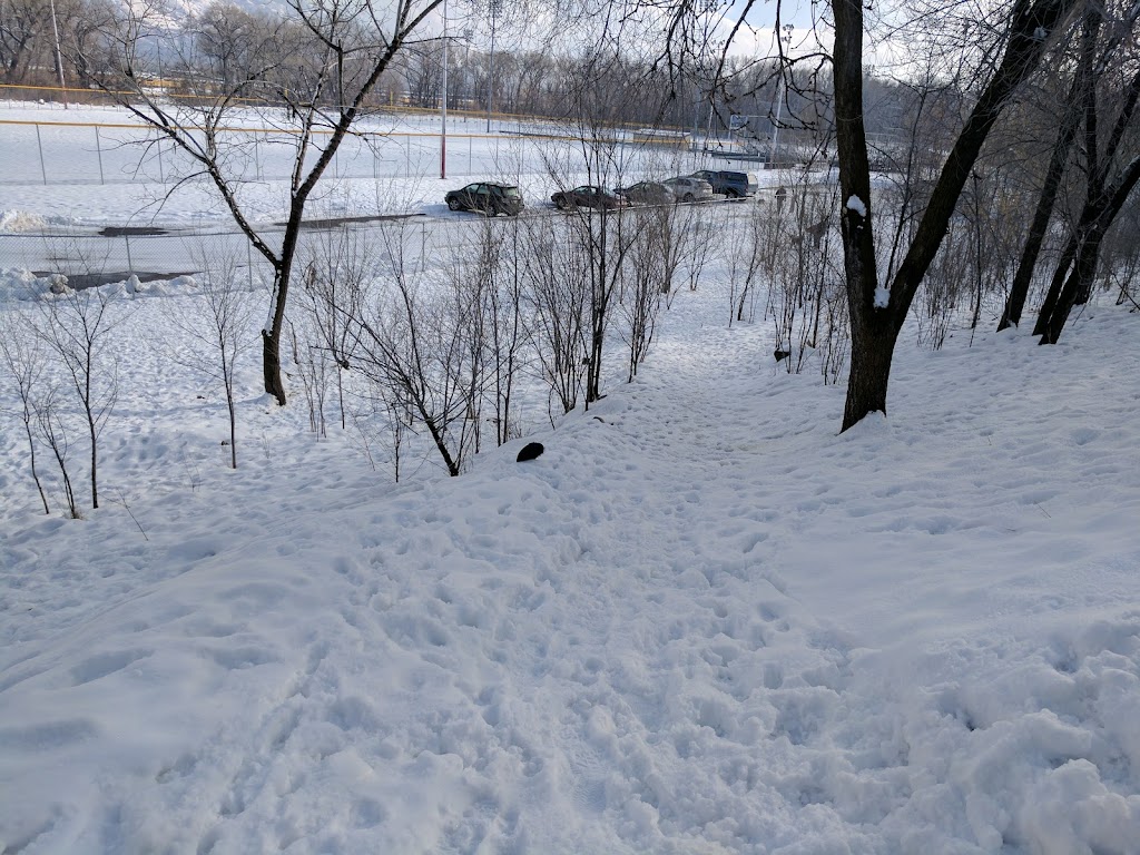 Mt. Ogden Off-Leash Dog Park