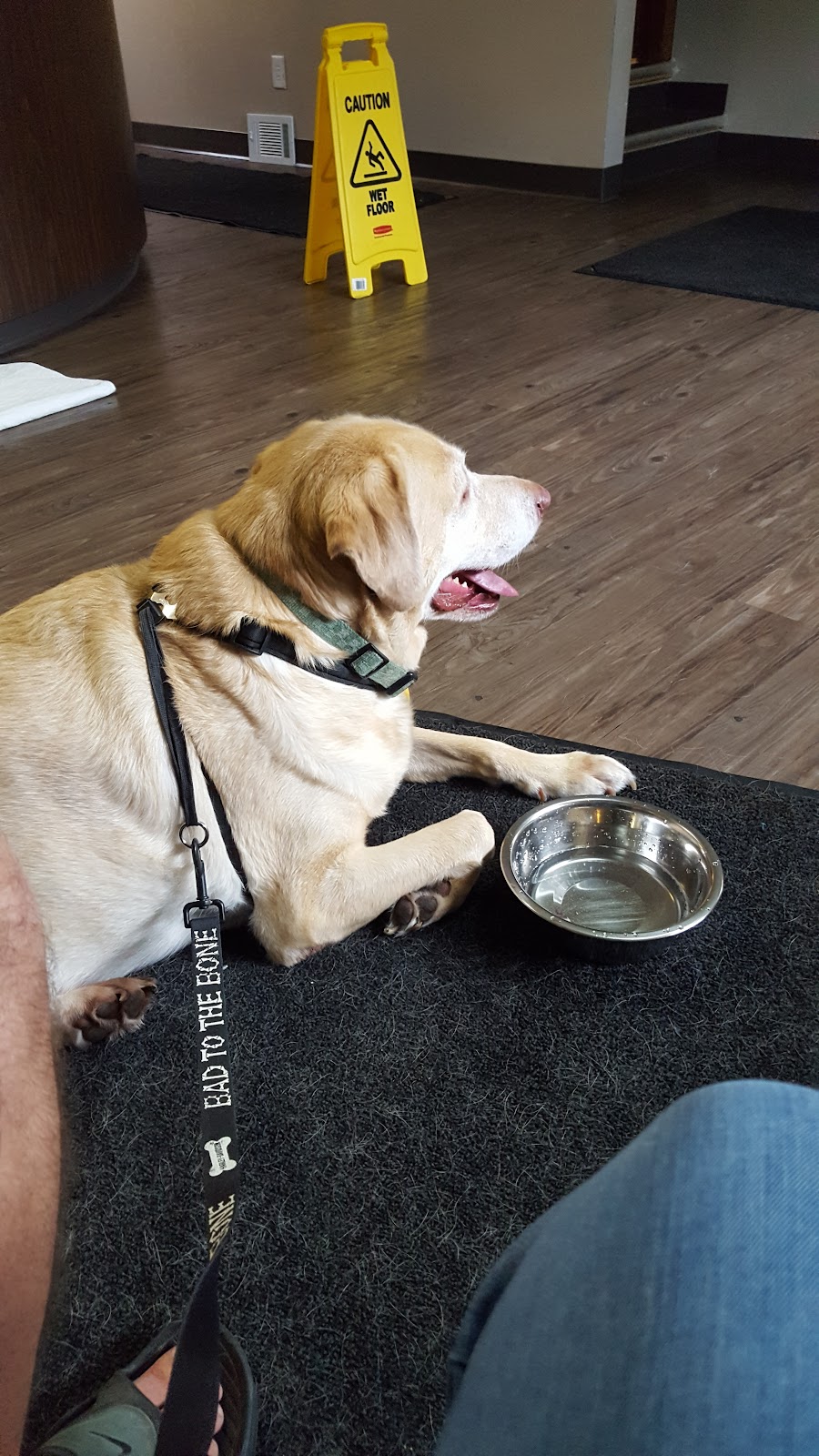 Heatherdowns Veterinary Clinic