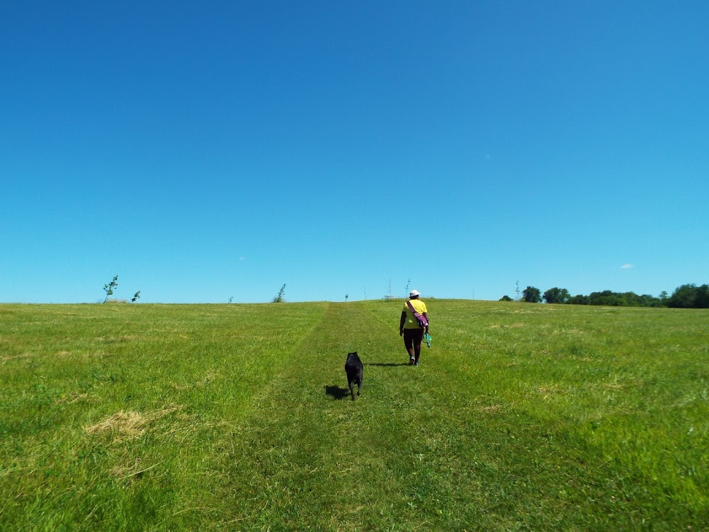 Token Creek Off-Leash Dog Park