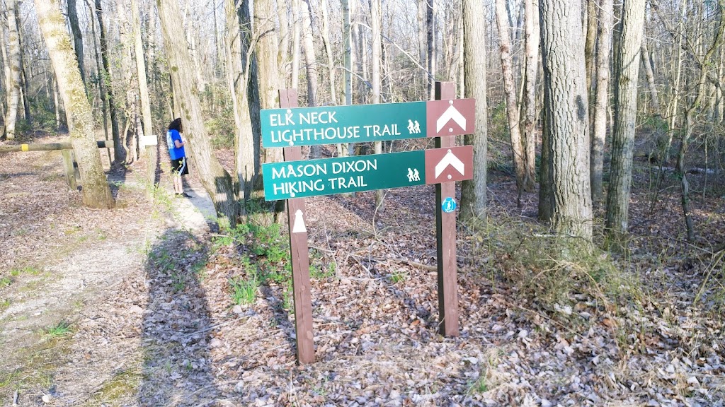 Elk Neck State Forest