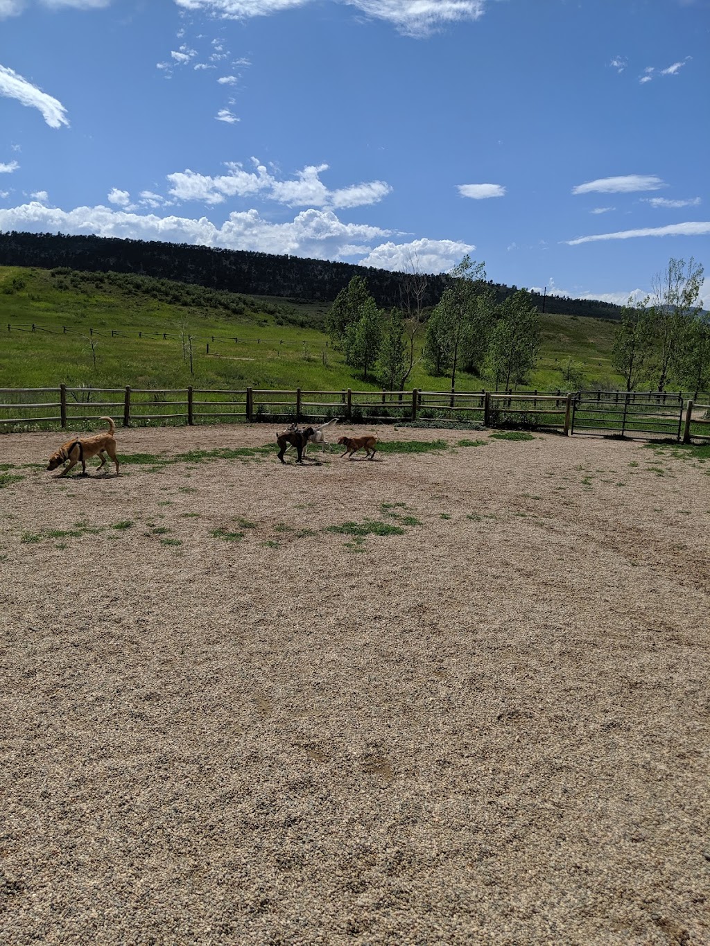 Spring Canyon Dog Park