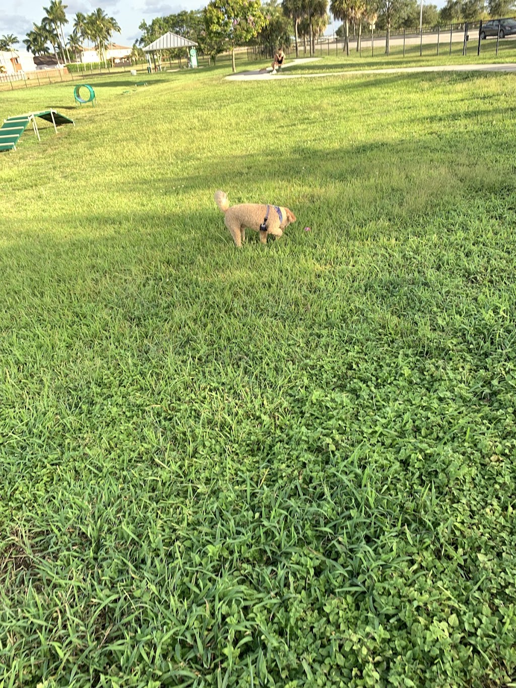 Kendall Indian Hammocks Dog Park