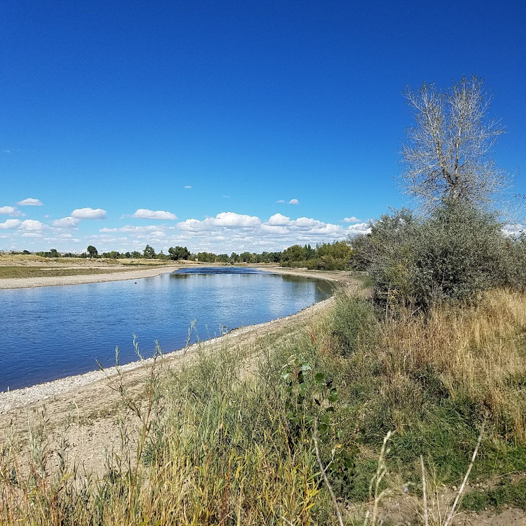Morad Park Off-Leash Area