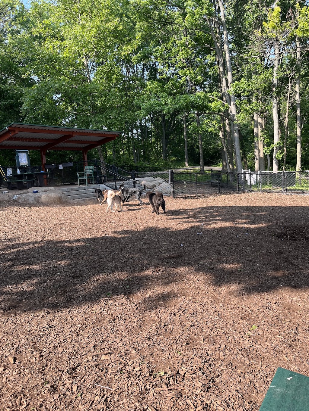 Wolfe's Pond Park Dog Run