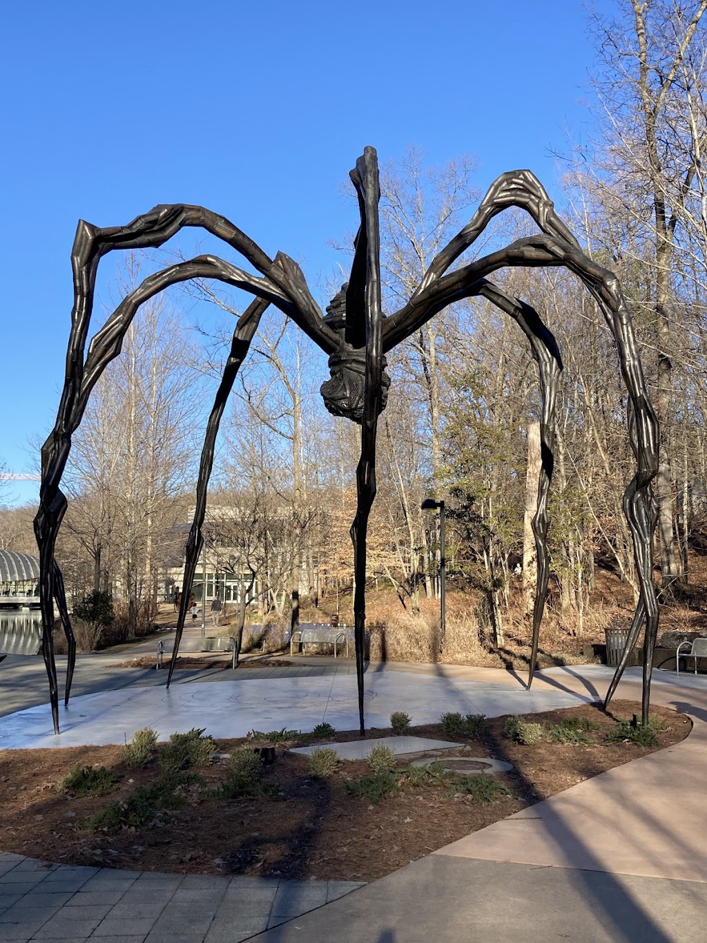 Crystal Bridges Trails