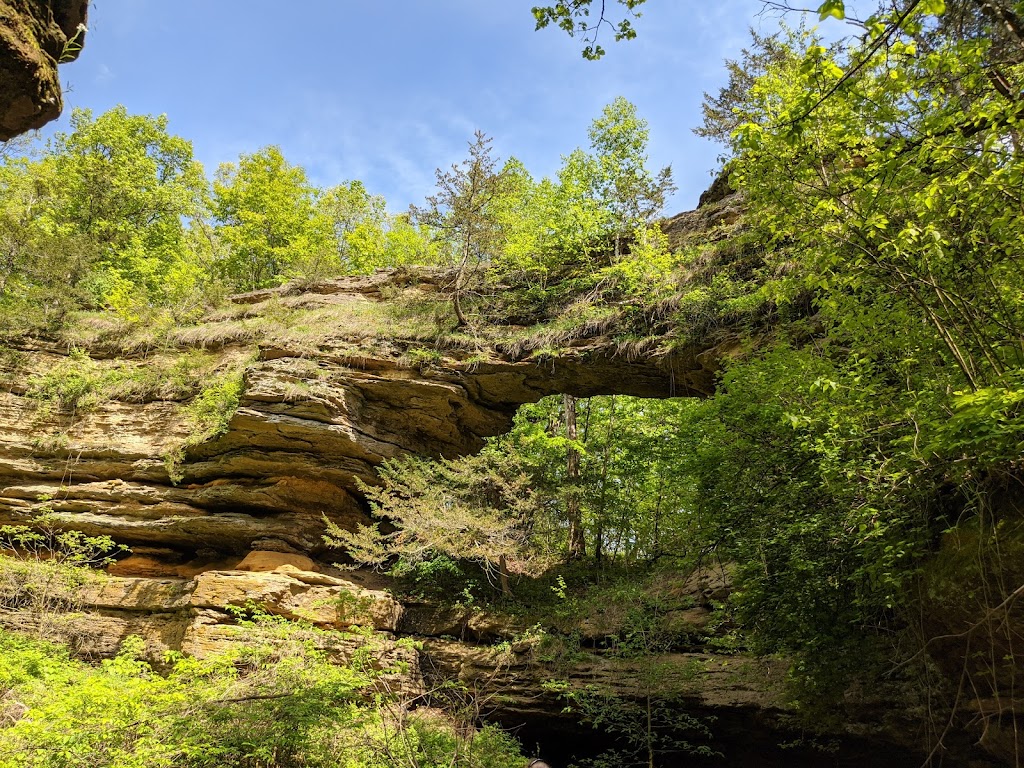 Natural Bridge State Park