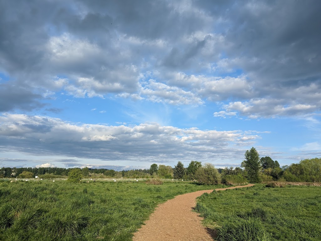 Marymoor Park Off-Leash Dog Area