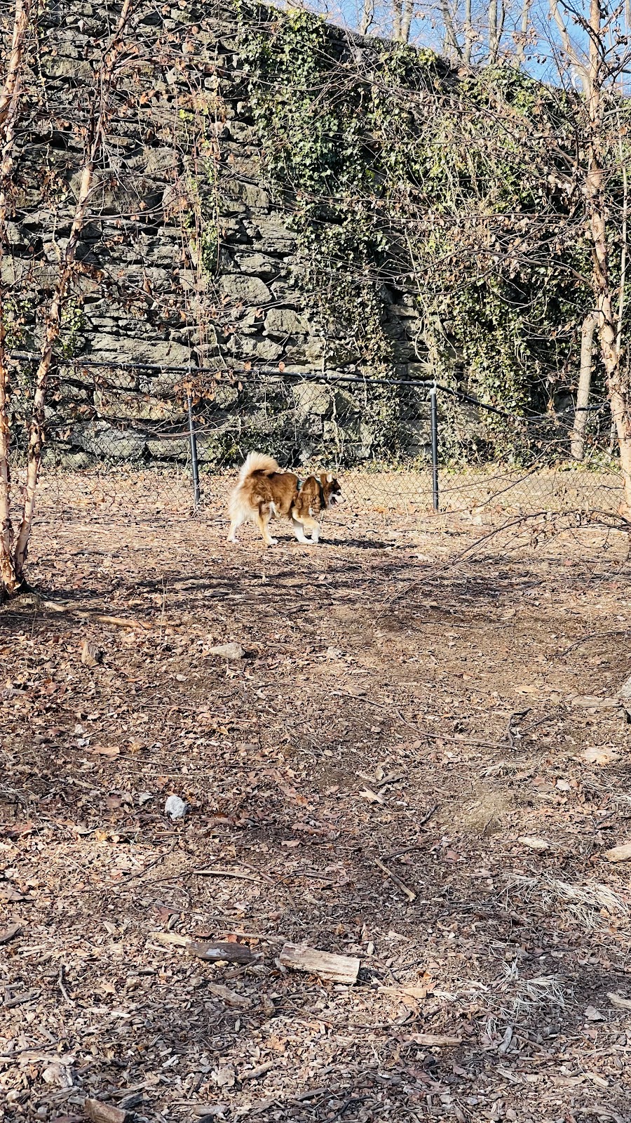 Fort Tryon Park Dog Run