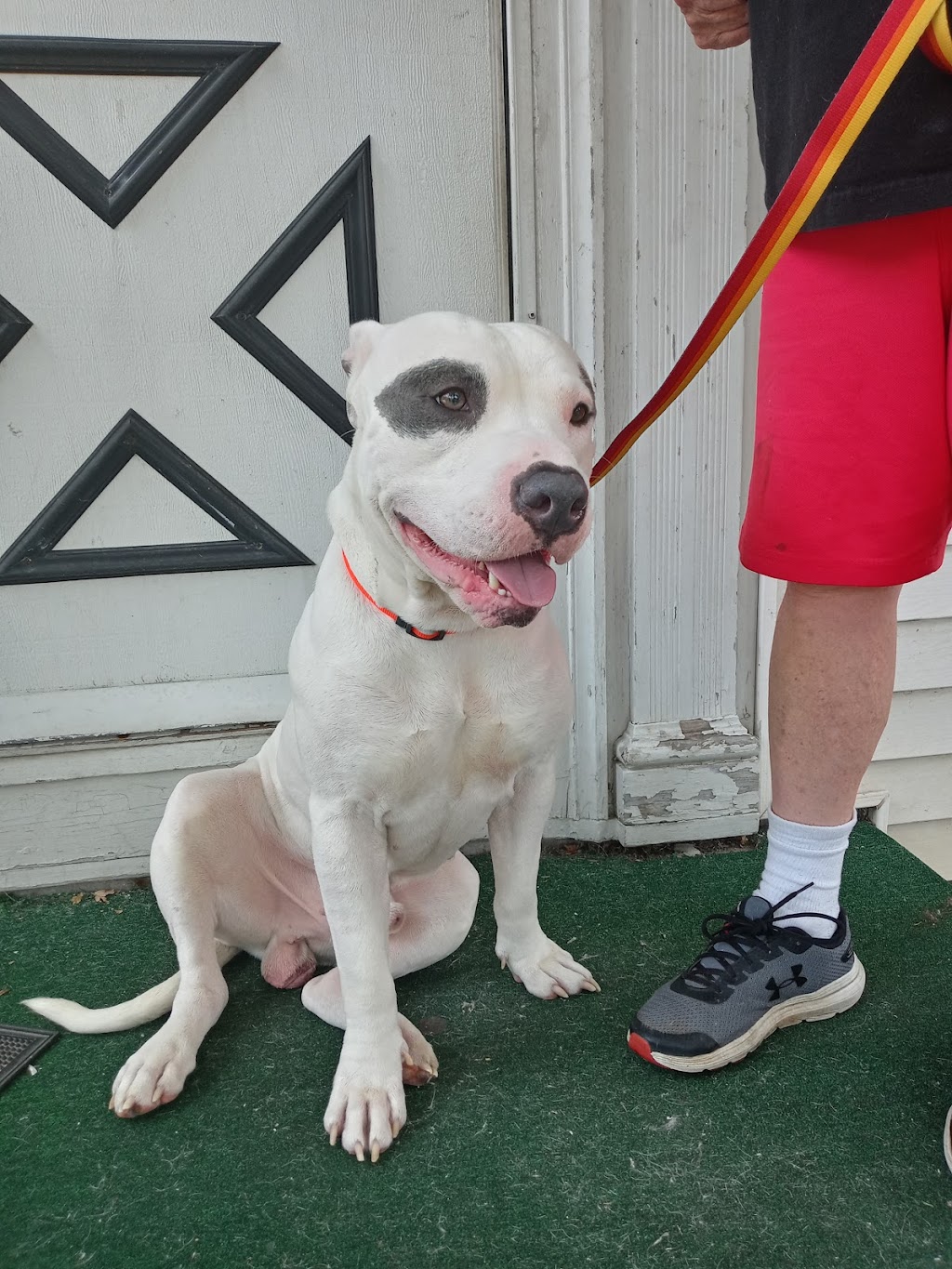 Seneca County Humane Society