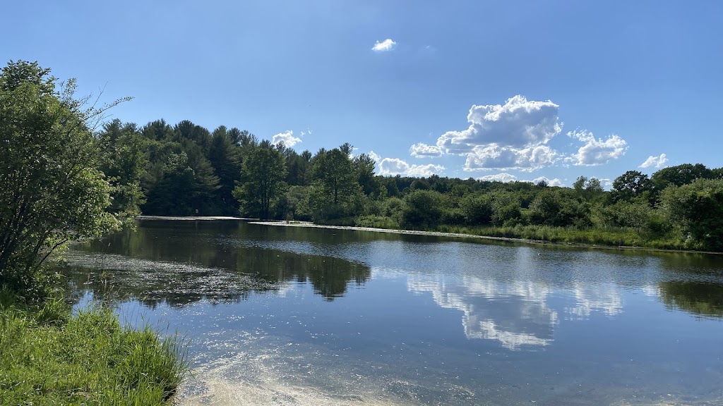 Bellamy River Wildlife Management Area
