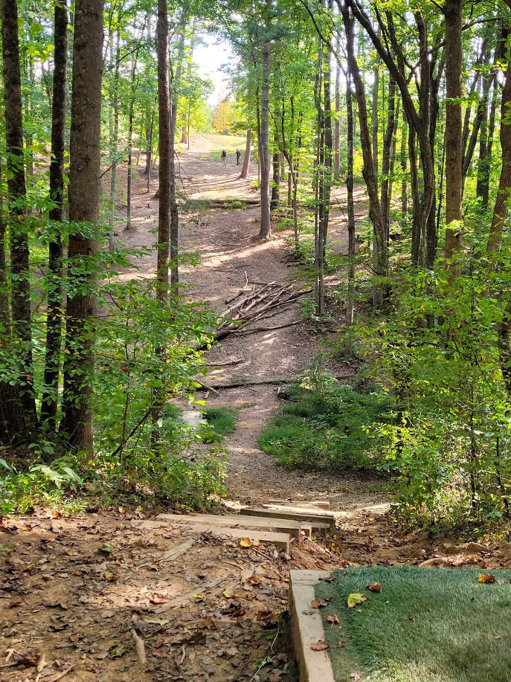 Richmond Hill Park Dog Park