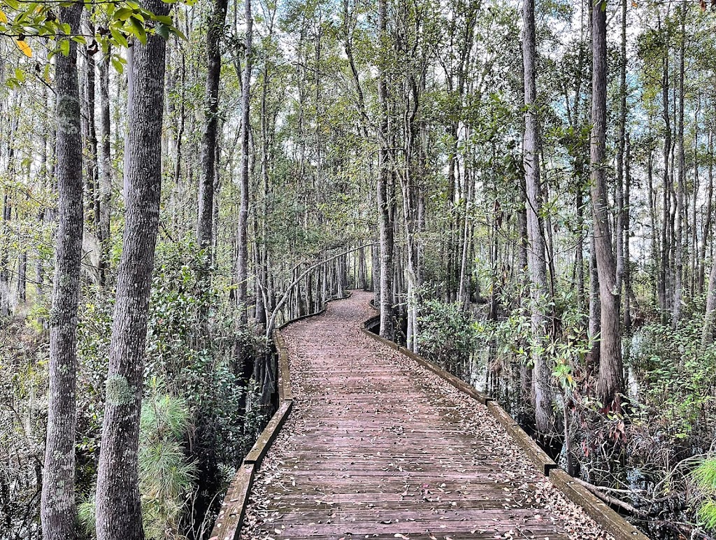 Stephen C. Foster State Park
