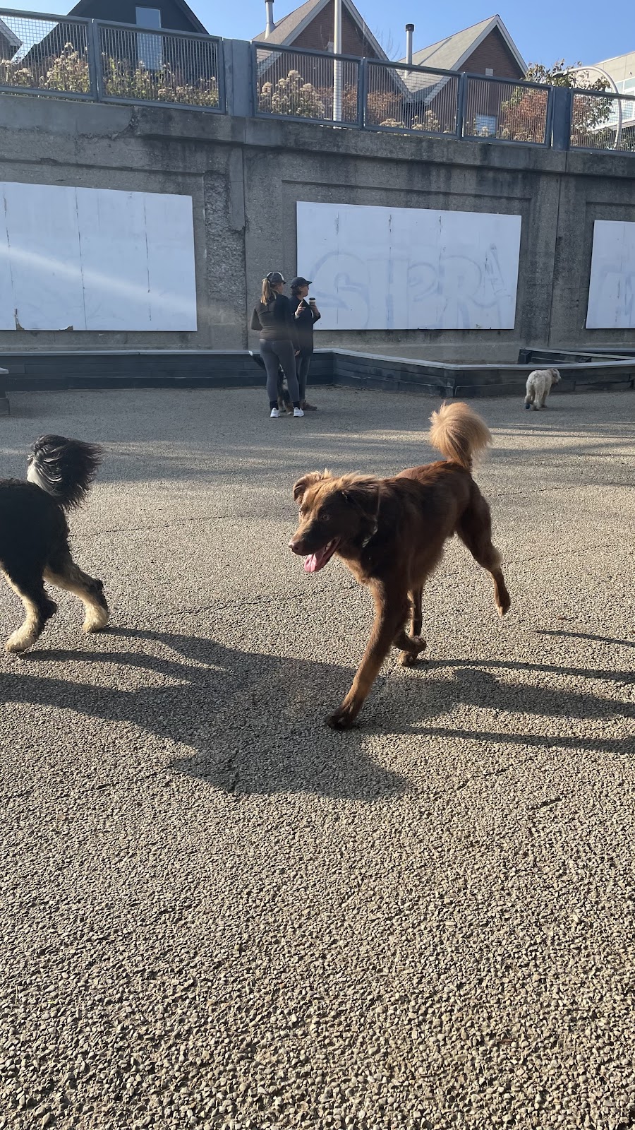 Churchill Field Dog Park