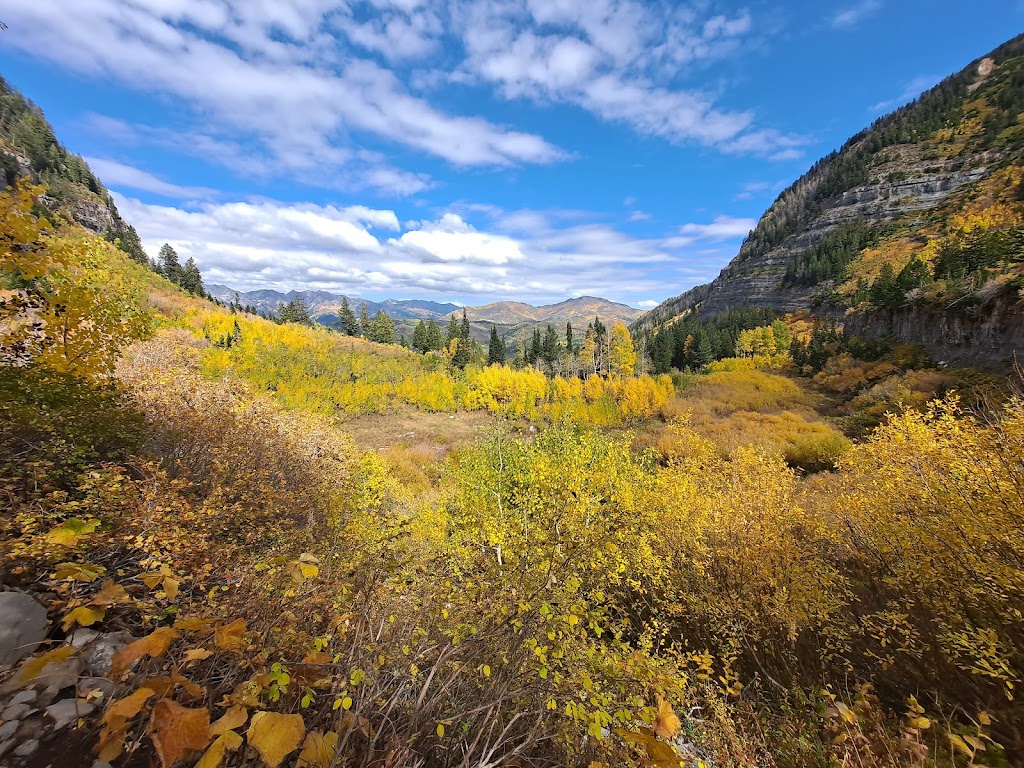 Timpooneke Trail (Mt. Timpanogos)