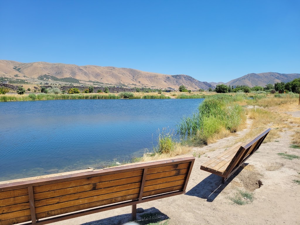 Edson Fichter Nature Area