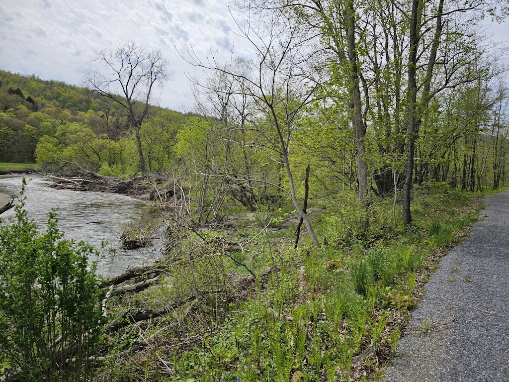 Lamoille Valley Rail Trail