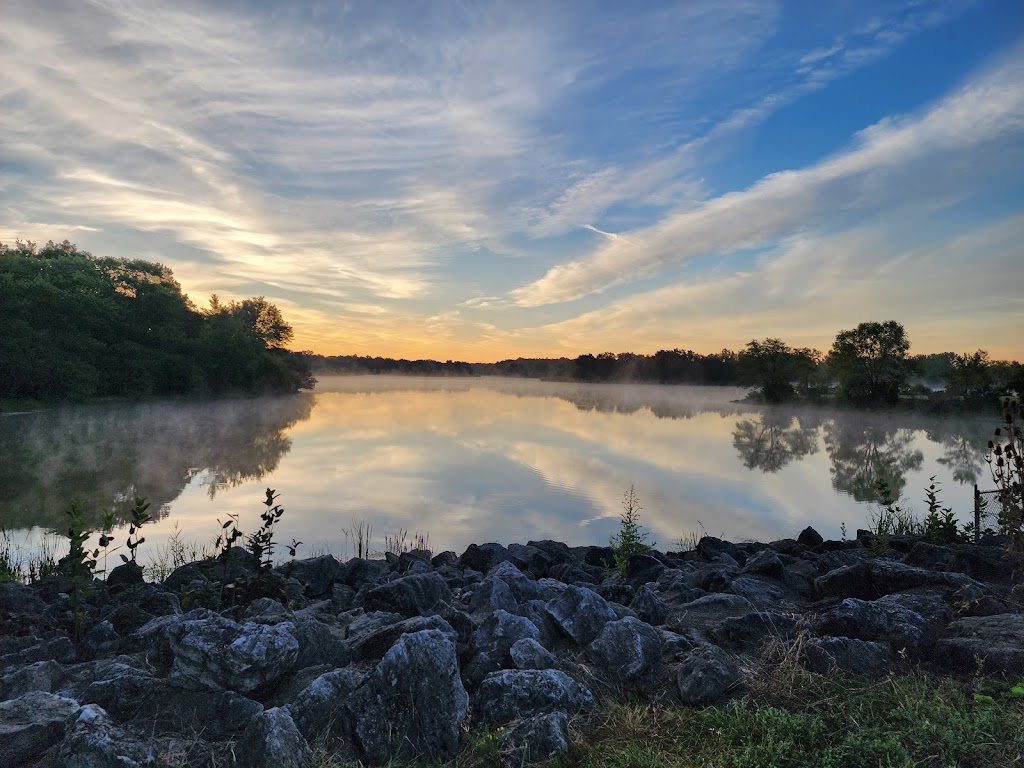Busse Woods (Ned Brown Forest Preserve)