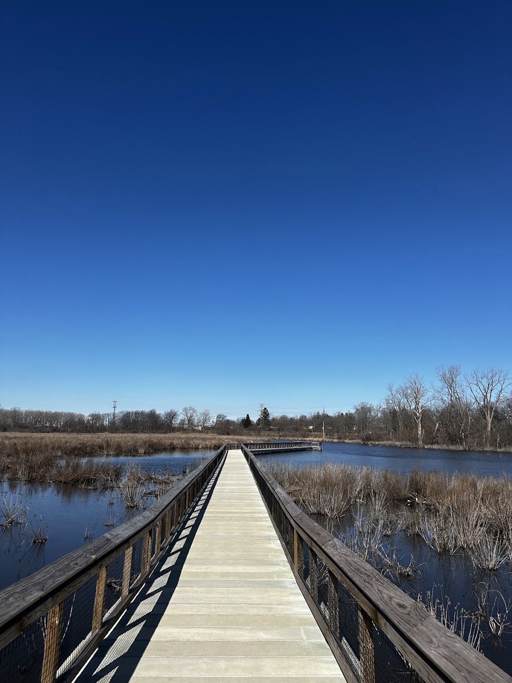 Manhattan Marsh Preserve Metropark