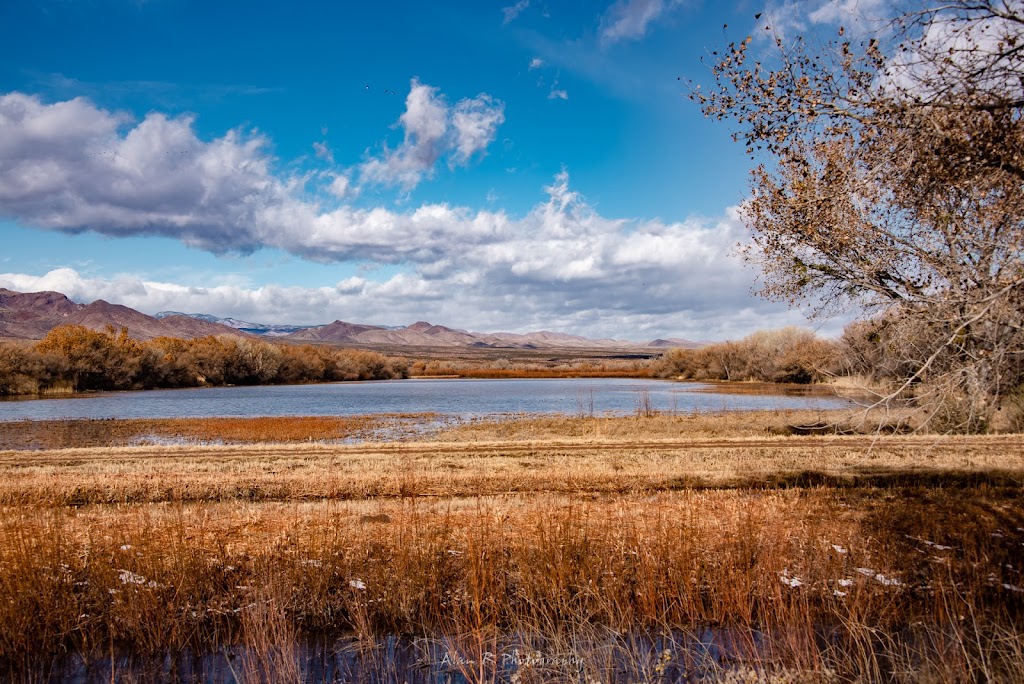 Bosque del Apache National Wildlife Refuge
