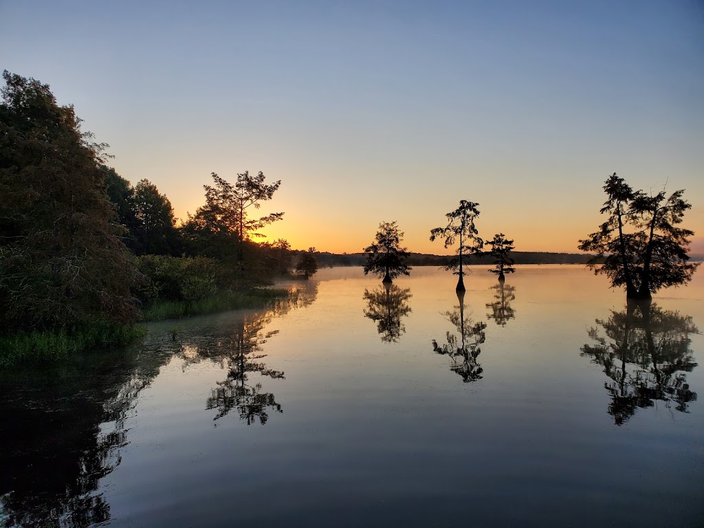 Lake D'Arbonne State Park