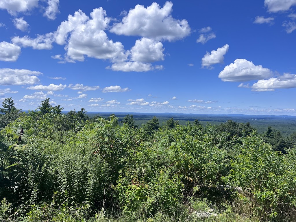 Mount Agamenticus Conservation Region