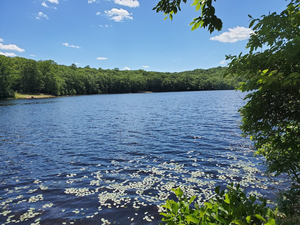 Cockaponset State Forest