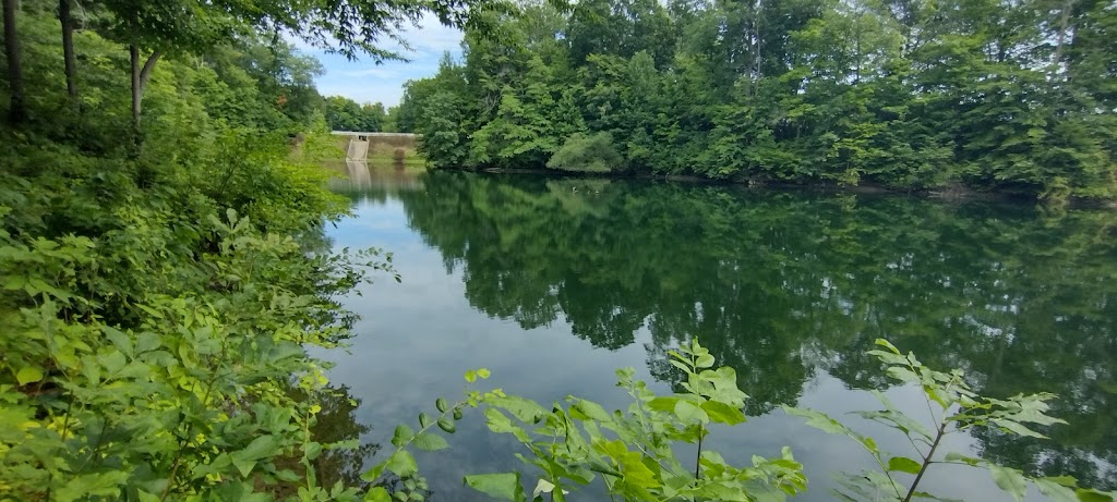 Mississinewa Lake