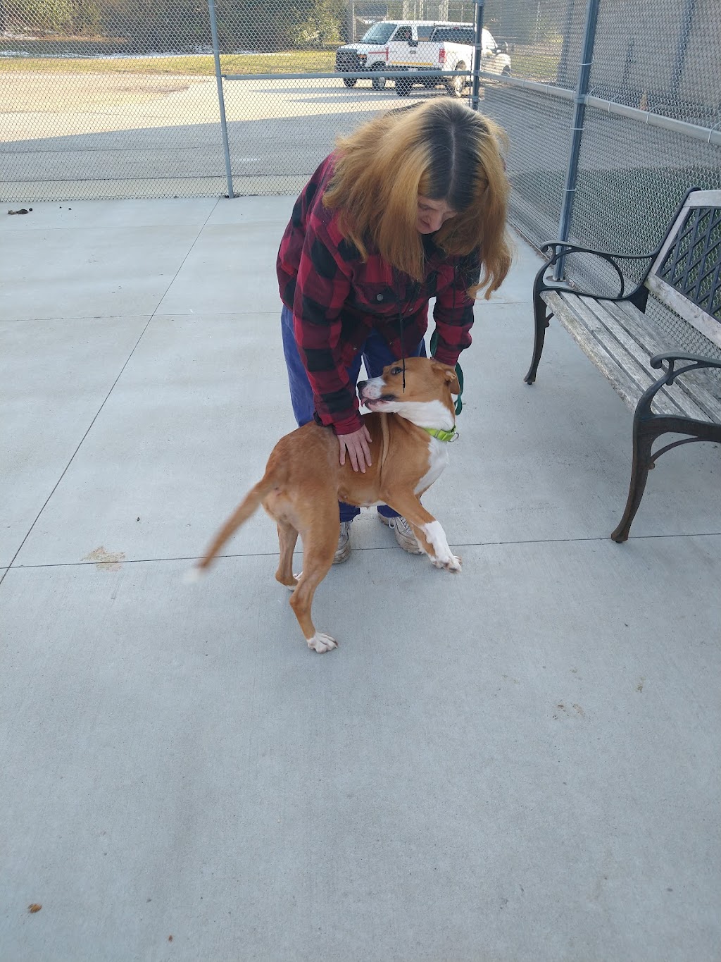 Summit County Animal Control