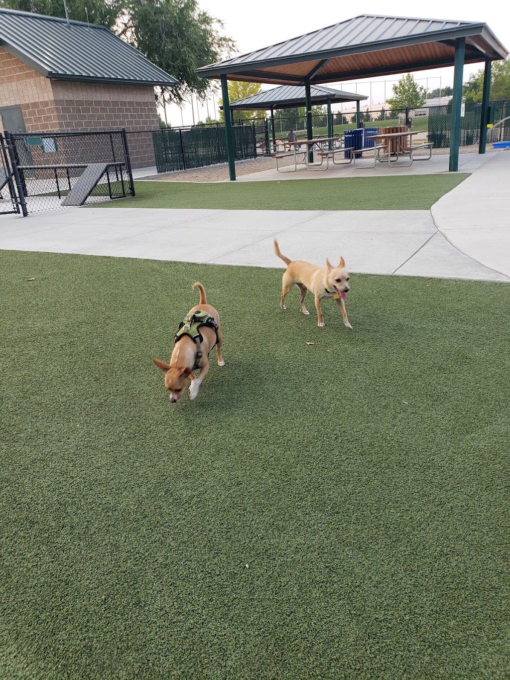 Storey Bark Park