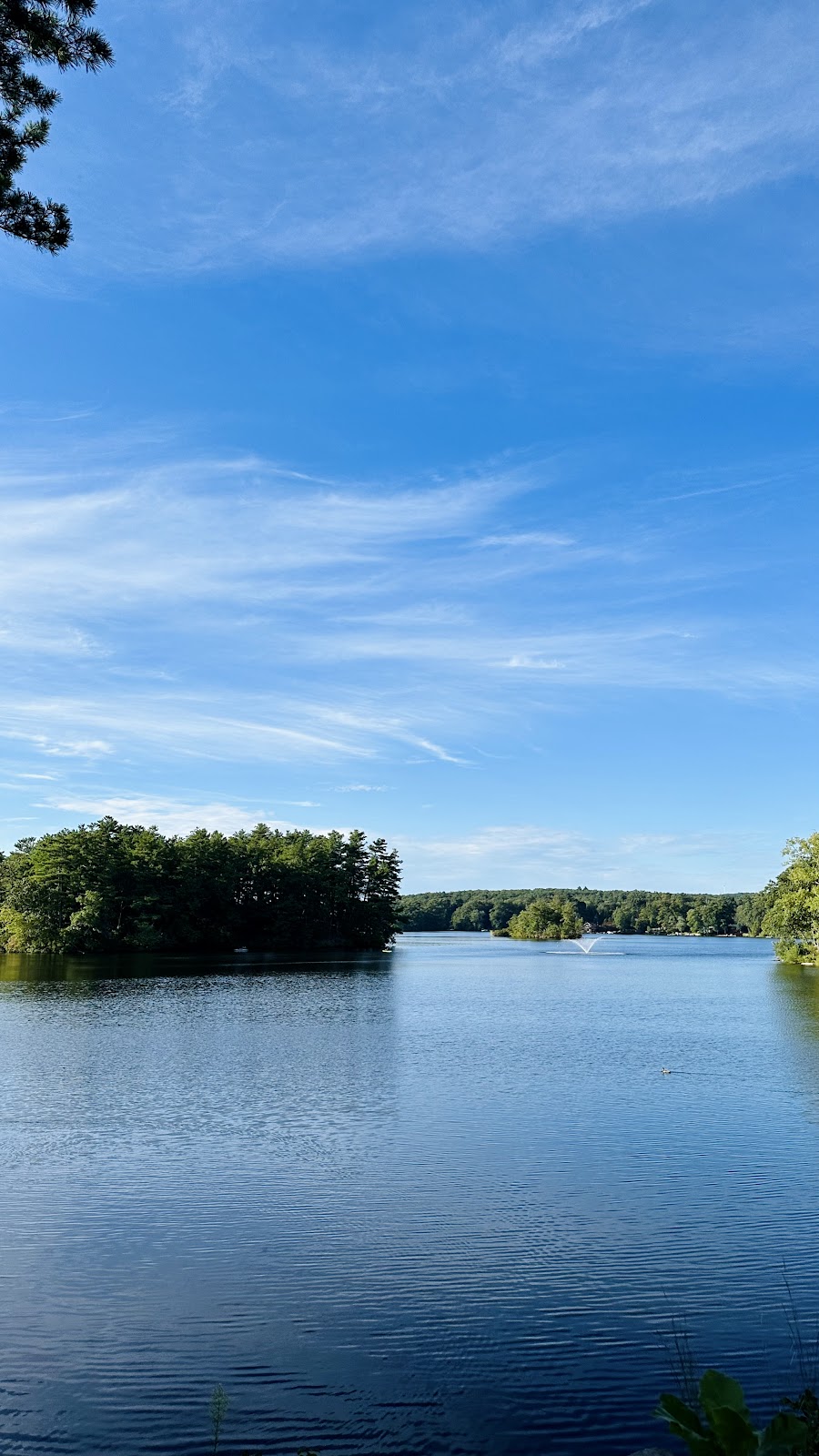 Stump Pond / Georgiaville Pond Trails