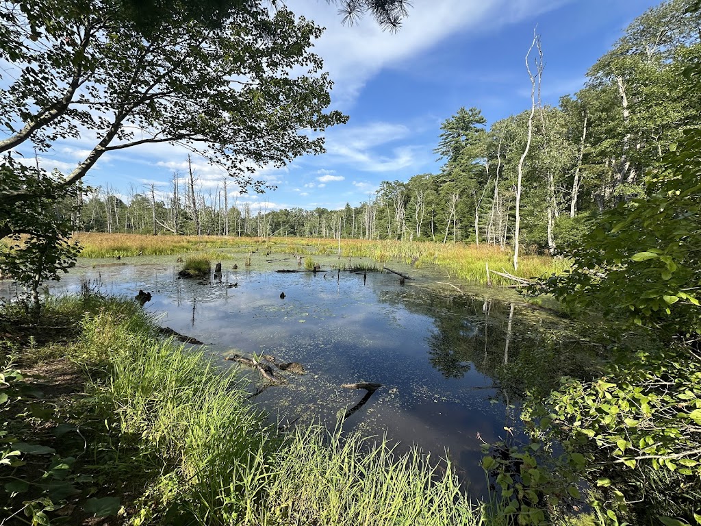 Wells State Park