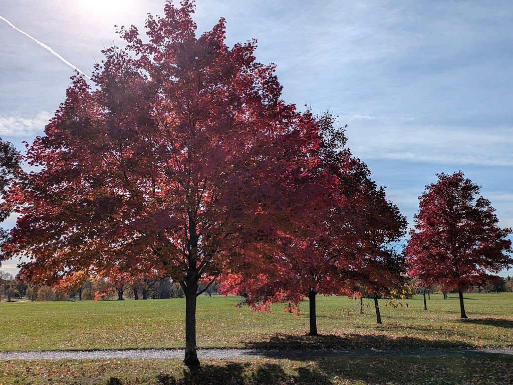 Delaware Park