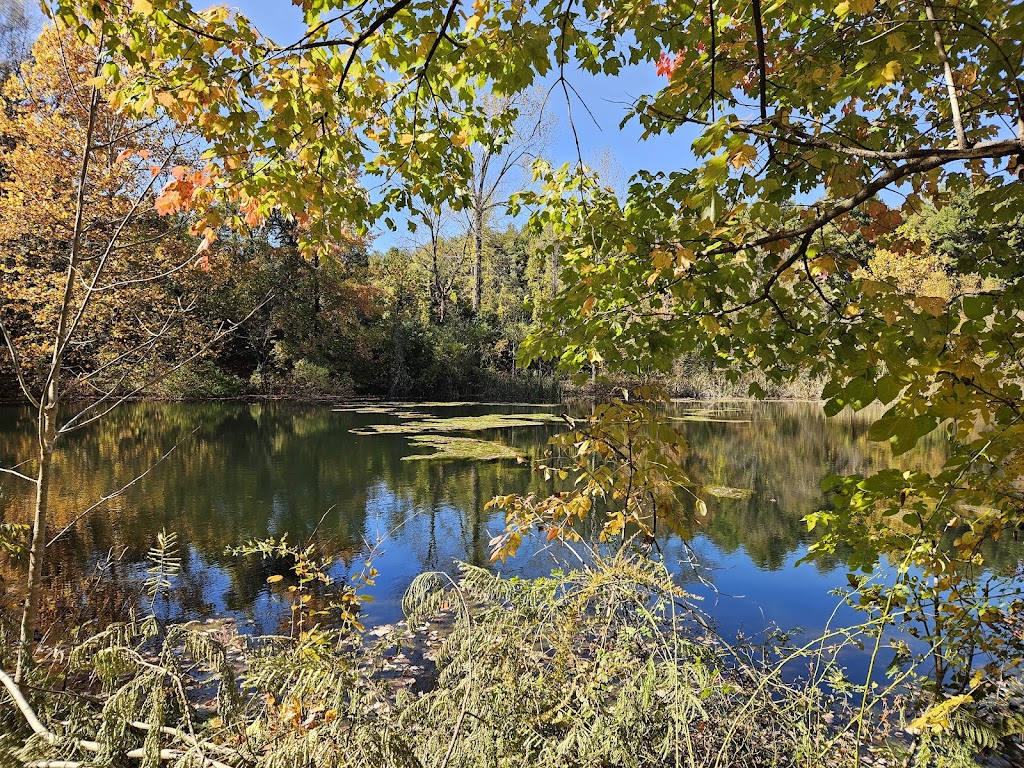 Saunders-Monticello Trail
