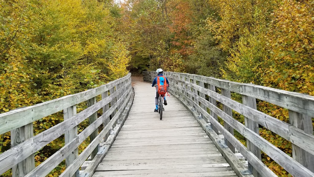 Virginia Creeper Trail