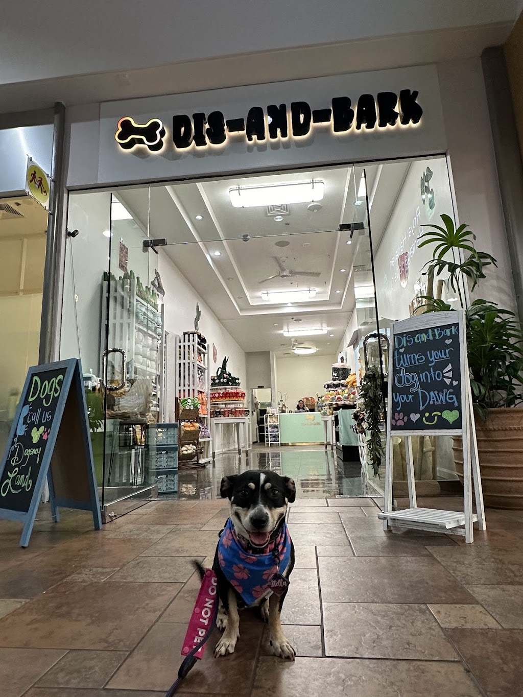 Petlandia