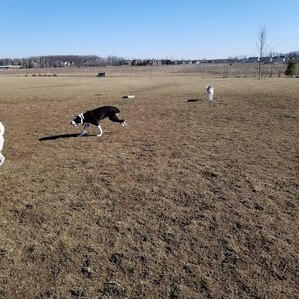 Canton Dog Park