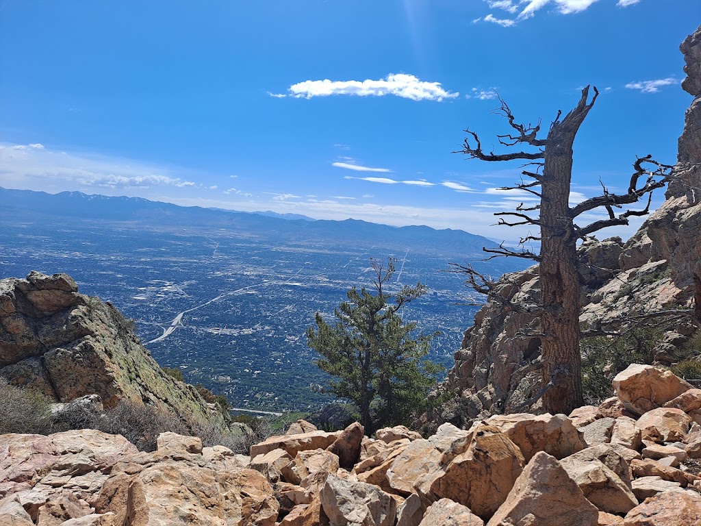 Mt. Olympus Trail