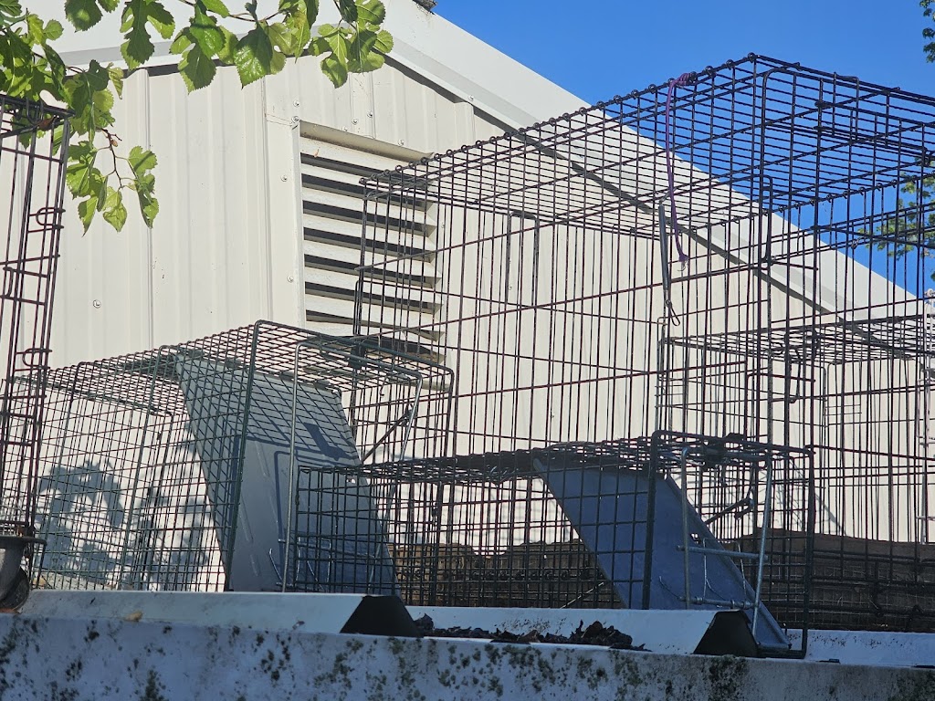 Bowling Green Warren County Humane Society