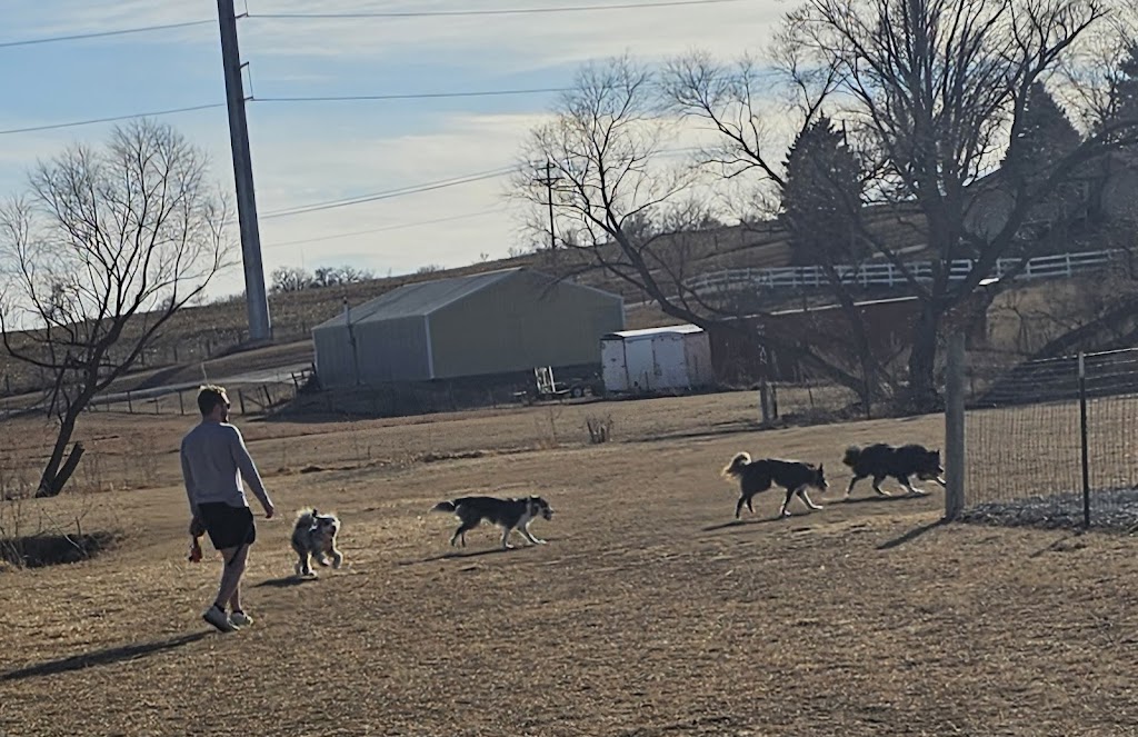 Millard Dog Park