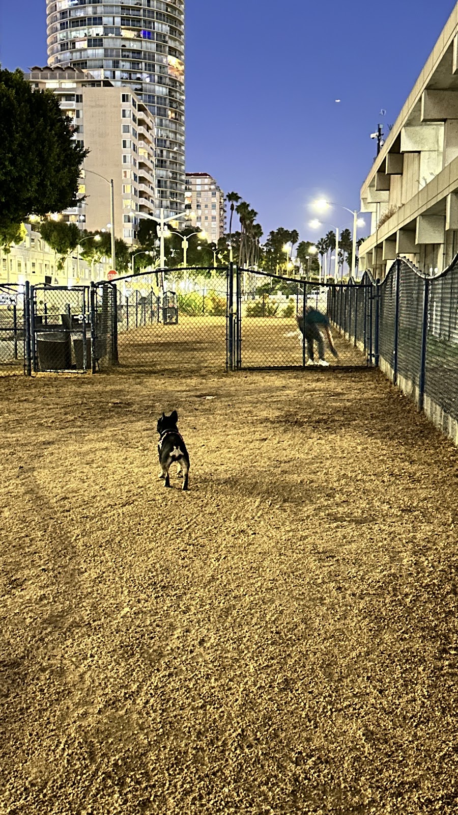 Recreation Park Off-Leash Dog Zone