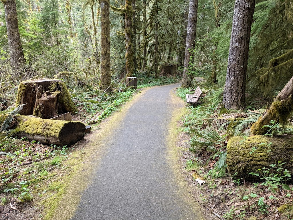 Wildwood Trail (Forest Park)