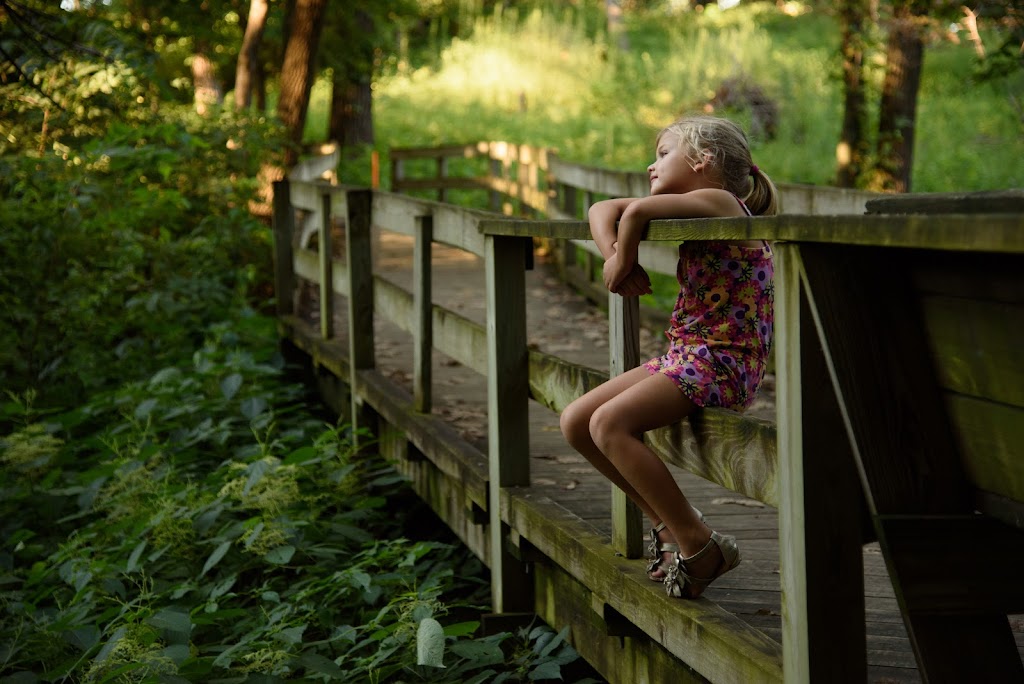 Fontenelle Forest, Bellevue