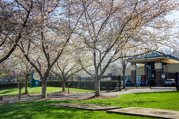 Nashville Humane Association