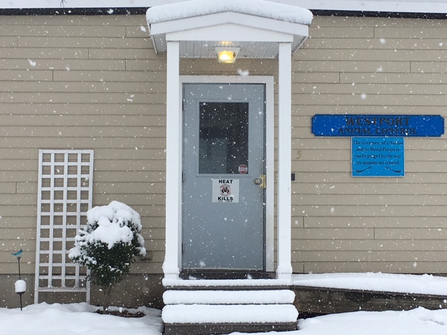 Westport-Weston Animal Shelter