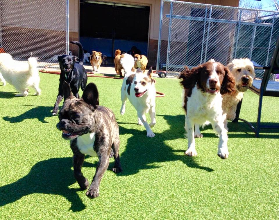 Two Ponds Dog Park