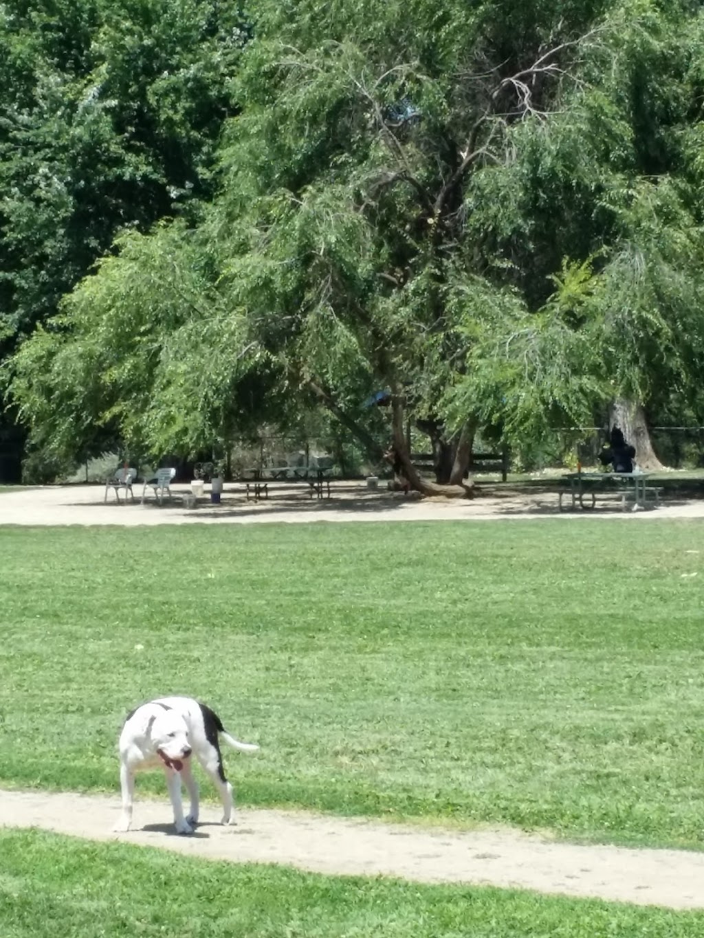 Bear Creek Dog Park, Medford