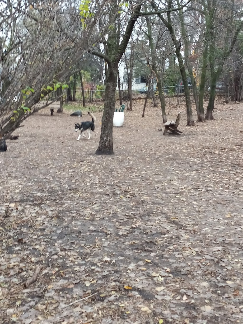Arlington Hills Dog Park