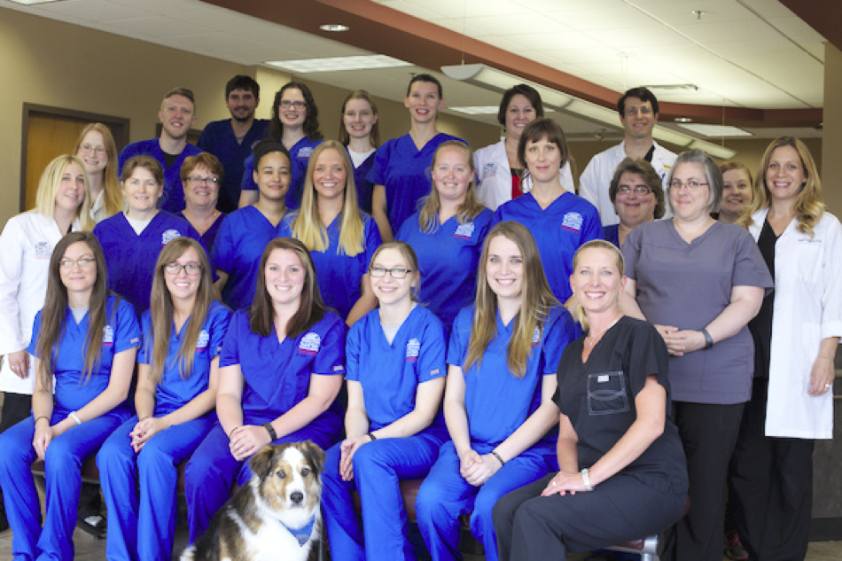 BrightCare Animal Neurology + Imaging